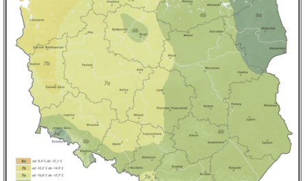 Mapa stref mrozoodporności w Polsce według klasyfikacji USDA za lata 1991–2020. Podział kraju od najcieplejszych stref 8a na Świnoujściu i Helu, przez 7b i 7a w Polsce Zachodniej i Środkowej, po chłodniejsze 6b i 6a na wschodzie oraz w rejonach górskich.