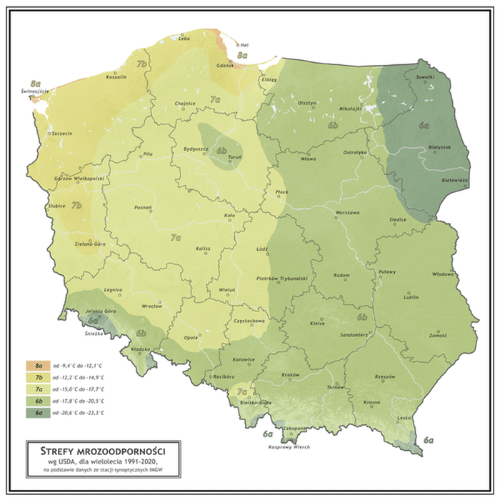 Mapa stref mrozoodporności w Polsce według klasyfikacji USDA za lata 1991–2020. Podział kraju od najcieplejszych stref 8a na Świnoujściu i Helu, przez 7b i 7a w Polsce Zachodniej i Środkowej, po chłodniejsze 6b i 6a na wschodzie oraz w rejonach górskich.